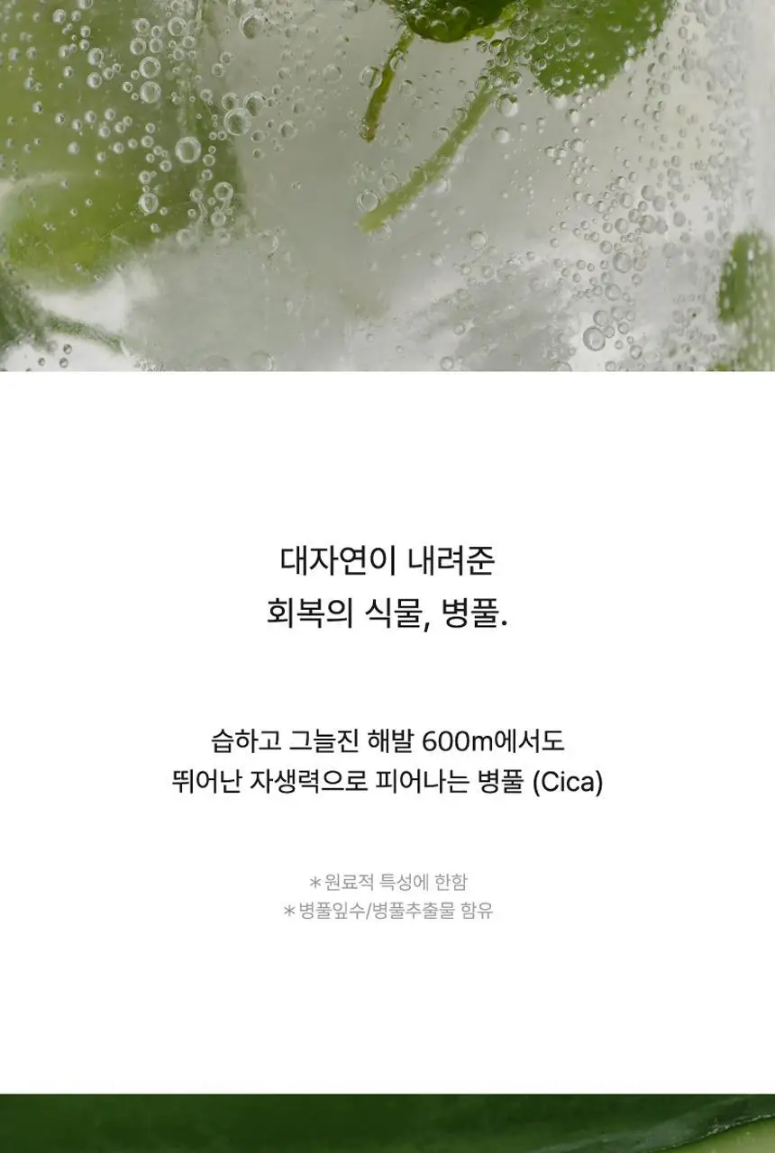 [레오제이 셀렉트스토어 선정] 라씨엘르 엔자임 신선초 파우더 워시 60g 상세페이지 23